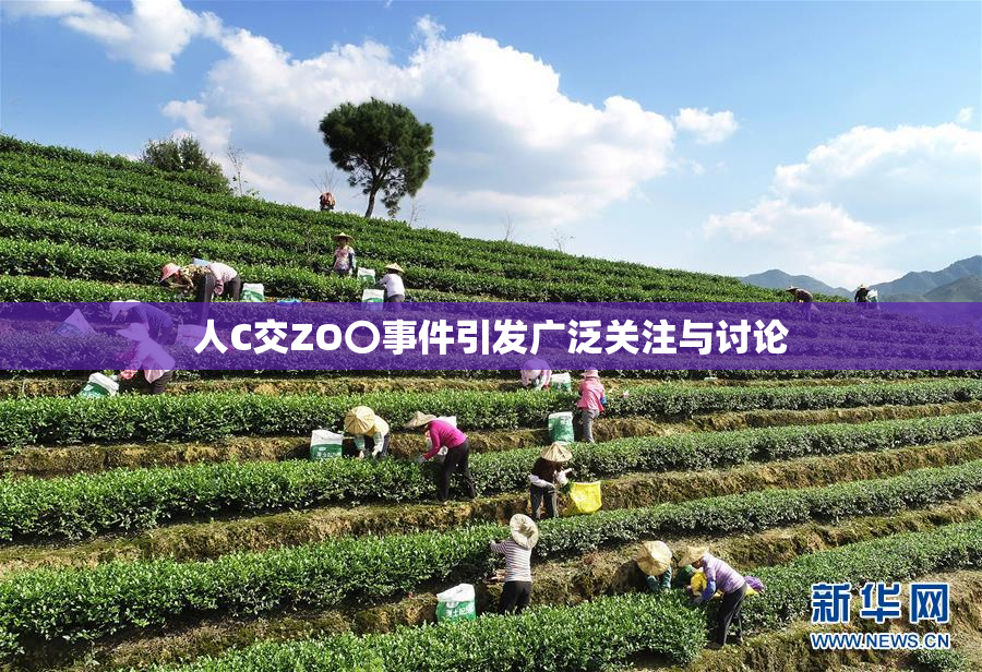 人C交ZO〇事件引发广泛关注与讨论