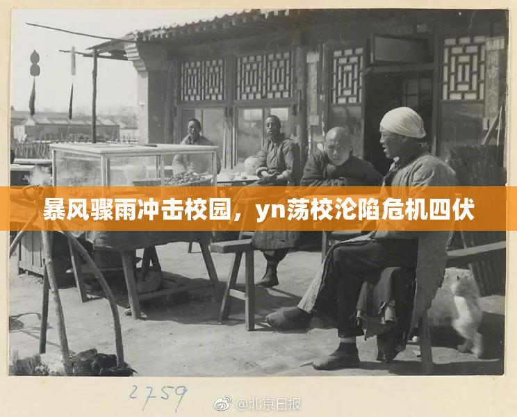 暴风骤雨冲击校园，yn荡校沦陷危机四伏