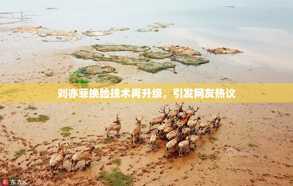 刘亦菲换脸技术再升级，引发网友热议