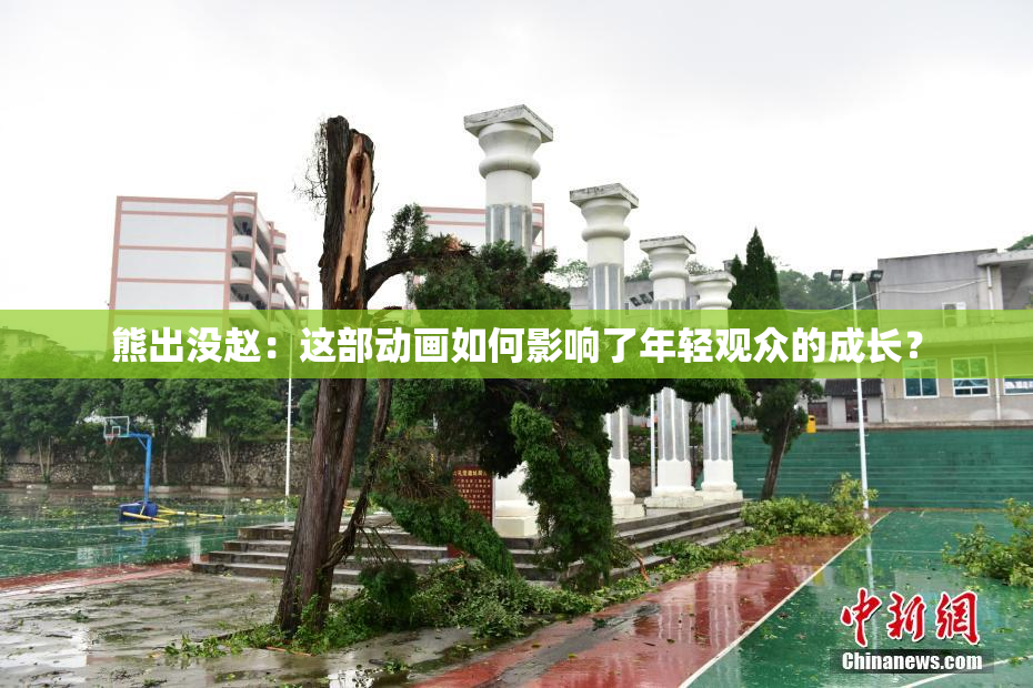 熊出没赵：这部动画如何影响了年轻观众的成长？