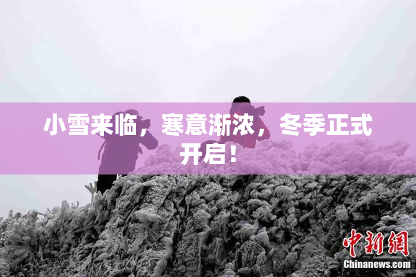 小雪来临，寒意渐浓，冬季正式开启！