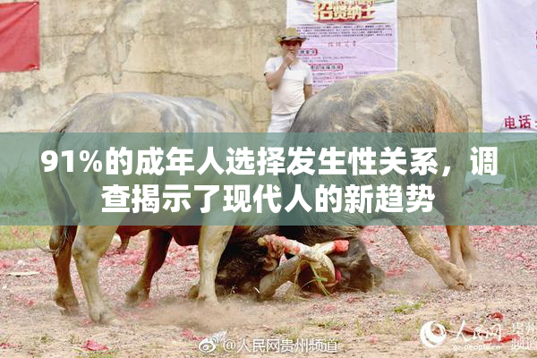 91%的成年人选择发生性关系，调查揭示了现代人的新趋势