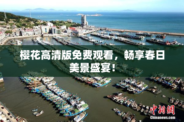 樱花高清版免费观看，畅享春日美景盛宴！