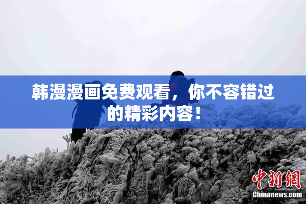 韩漫漫画免费观看，你不容错过的精彩内容！
