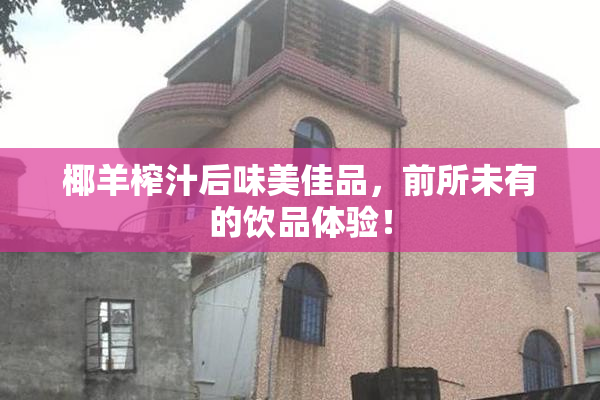 椰羊榨汁后味美佳品，前所未有的饮品体验！