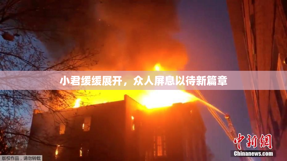 小君缓缓展开，众人屏息以待新篇章