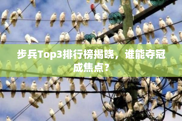 步兵Top3排行榜揭晓，谁能夺冠成焦点？