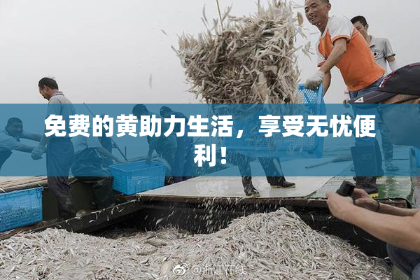 免费的黄助力生活，享受无忧便利！