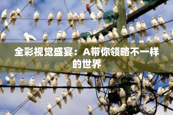 全彩视觉盛宴：A带你领略不一样的世界