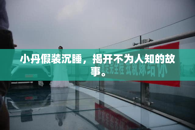 小丹假装沉睡，揭开不为人知的故事。