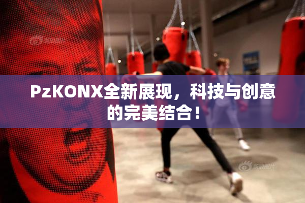 PzKONX全新展现，科技与创意的完美结合！