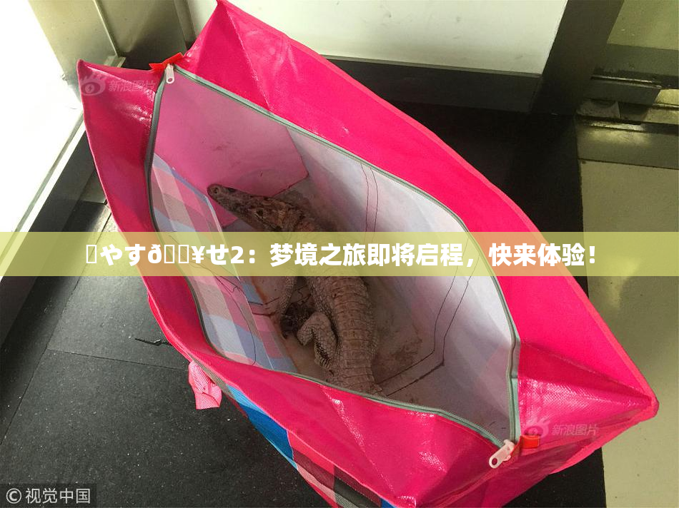 ✿やす🔥せ2：梦境之旅即将启程，快来体验！