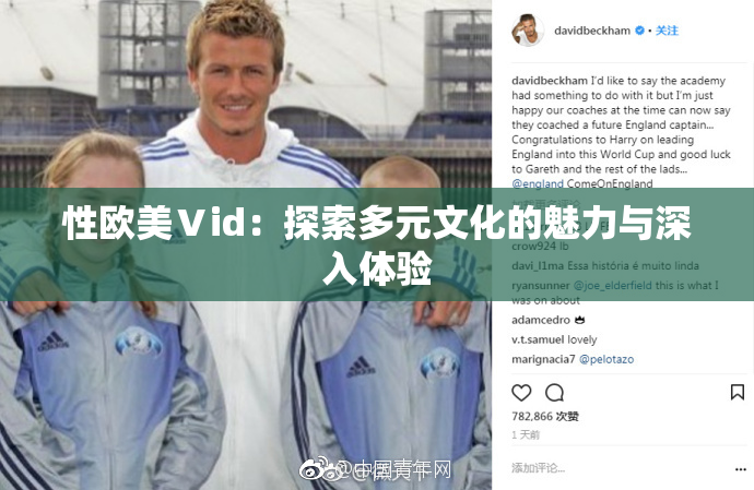 性欧美Ⅴid：探索多元文化的魅力与深入体验