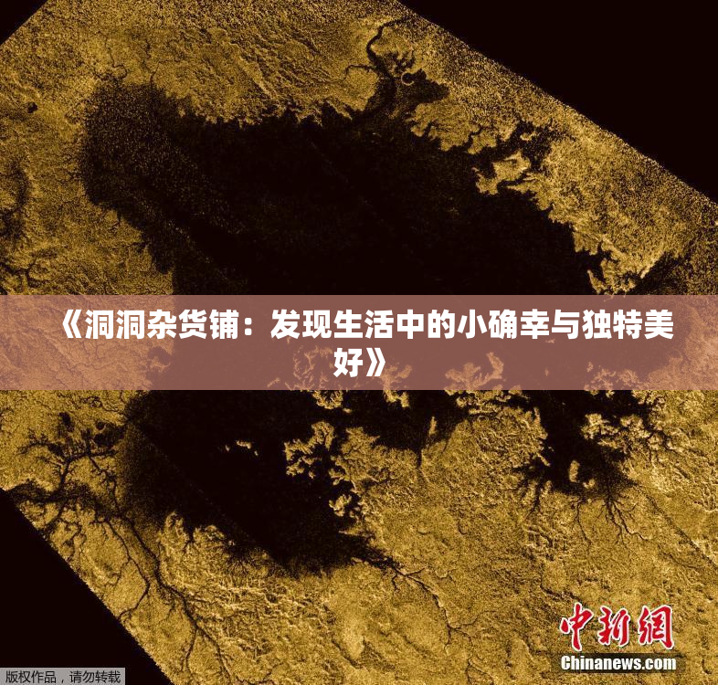 《洞洞杂货铺：发现生活中的小确幸与独特美好》