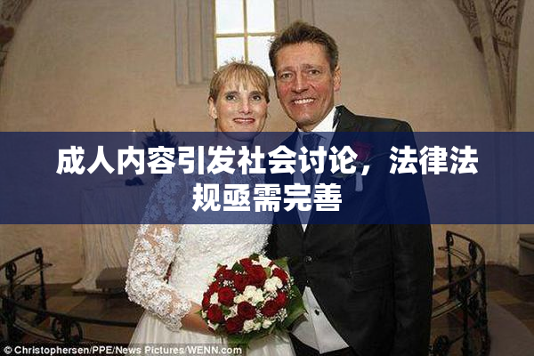 成人内容引发社会讨论，法律法规亟需完善