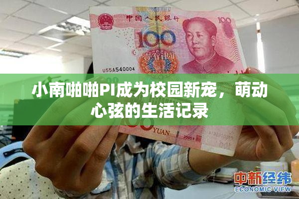 小南啪啪PI成为校园新宠，萌动心弦的生活记录