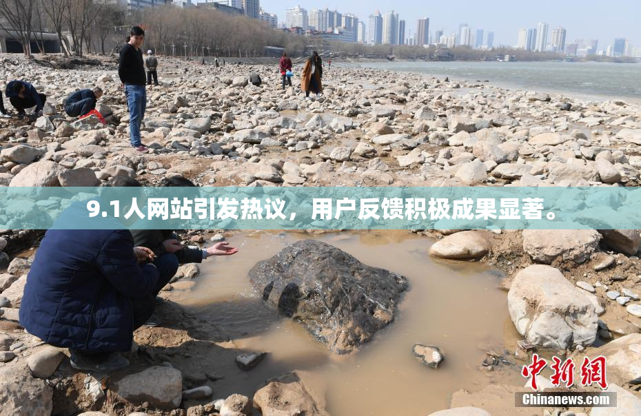9.1人网站引发热议，用户反馈积极成果显著。