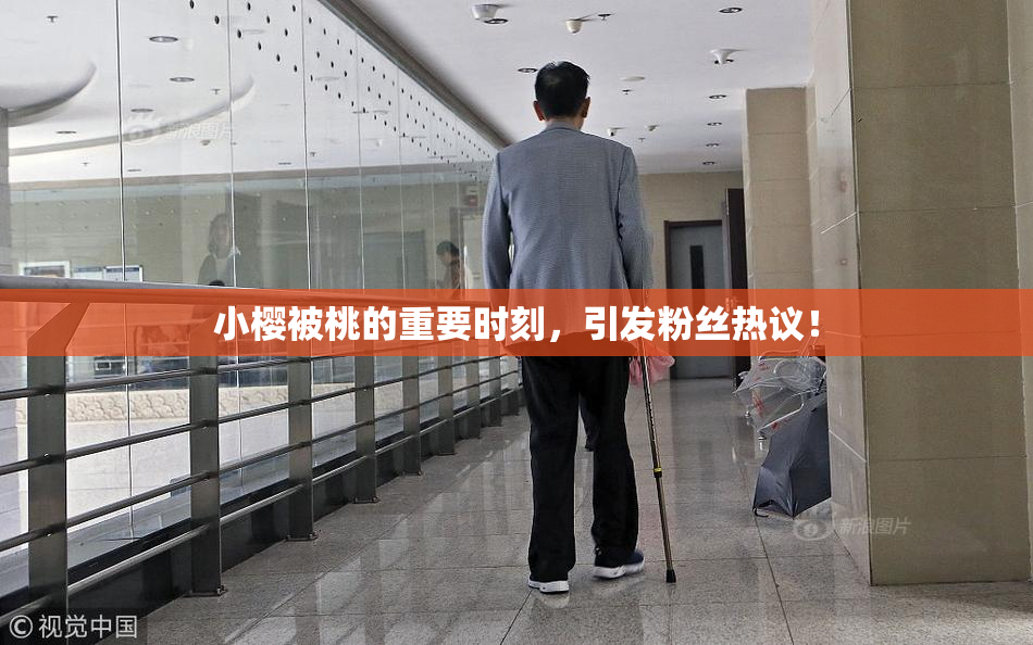 小樱被桃的重要时刻，引发粉丝热议！
