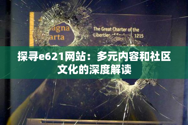探寻e621网站：多元内容和社区文化的深度解读