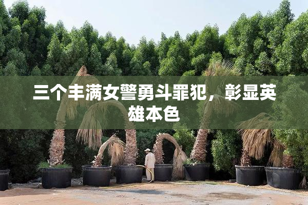 三个丰满女警勇斗罪犯，彰显英雄本色