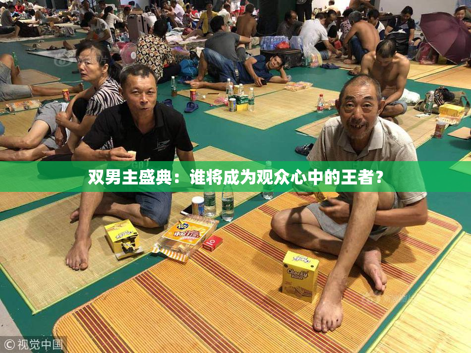 双男主盛典：谁将成为观众心中的王者？