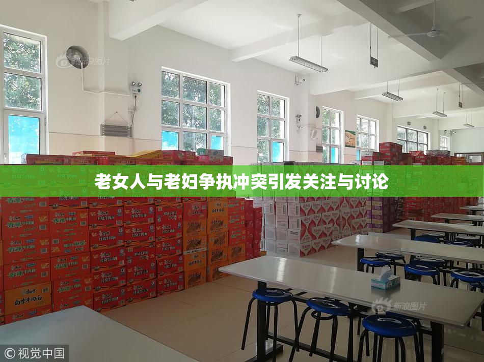 老女人与老妇争执冲突引发关注与讨论