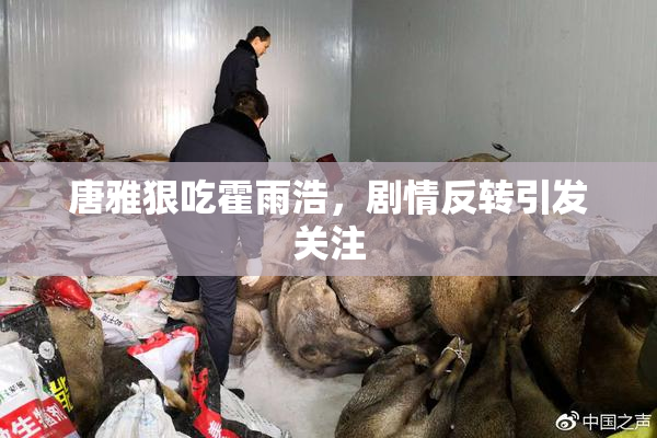 唐雅狠吃霍雨浩，剧情反转引发关注