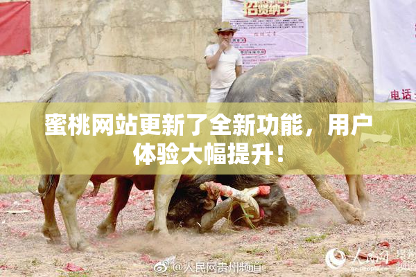 蜜桃网站更新了全新功能，用户体验大幅提升！