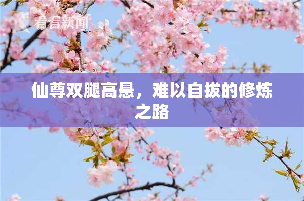 仙尊双腿高悬，难以自拔的修炼之路