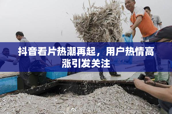 抖音看片热潮再起，用户热情高涨引发关注