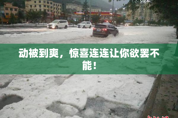 动被到爽，惊喜连连让你欲罢不能！