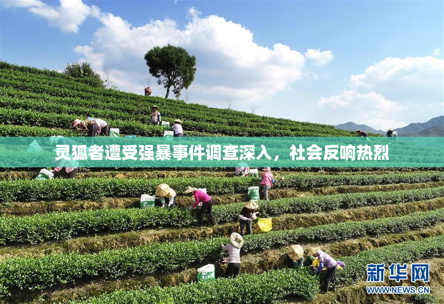 灵狐者遭受强暴事件调查深入，社会反响热烈