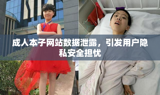 成人本子网站数据泄露，引发用户隐私安全担忧