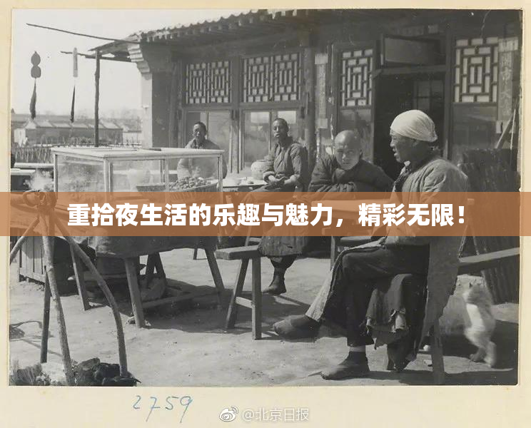 重拾夜生活的乐趣与魅力，精彩无限！