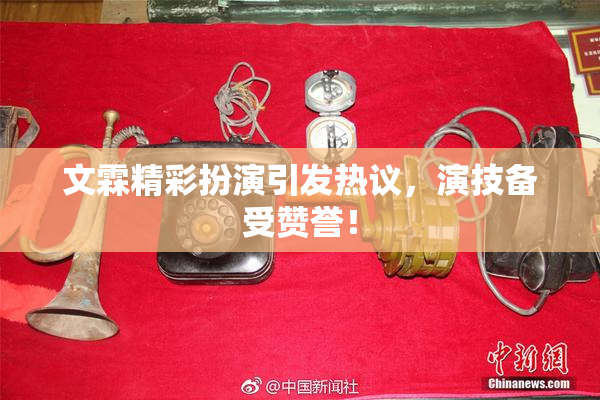 文霖精彩扮演引发热议，演技备受赞誉！