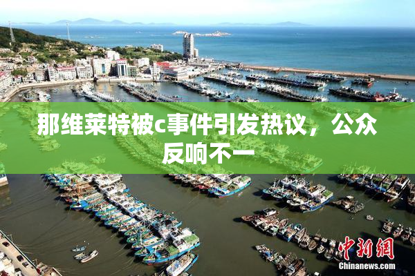 那维莱特被c事件引发热议，公众反响不一