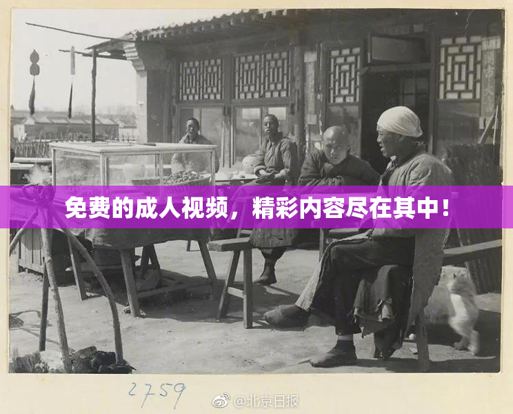 免费的成人视频，精彩内容尽在其中！