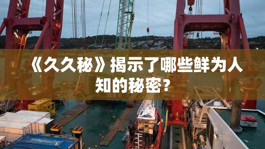 《久久秘》揭示了哪些鲜为人知的秘密？