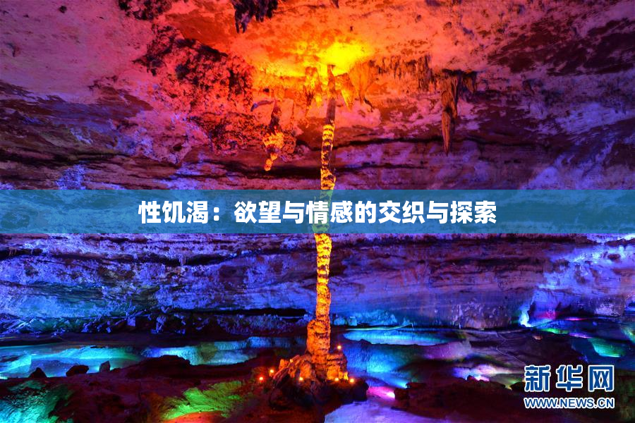 性饥渴：欲望与情感的交织与探索