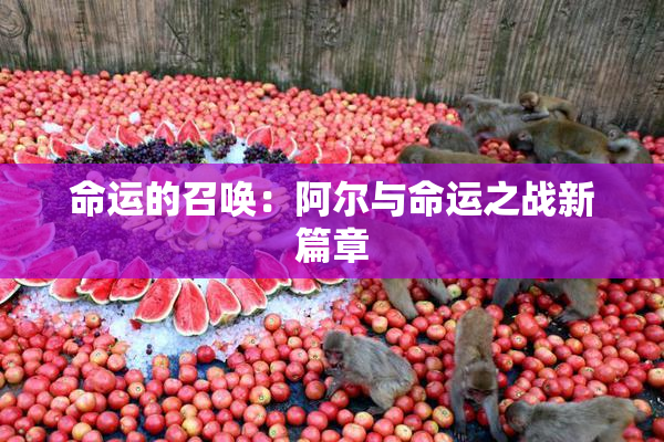 命运的召唤：阿尔与命运之战新篇章