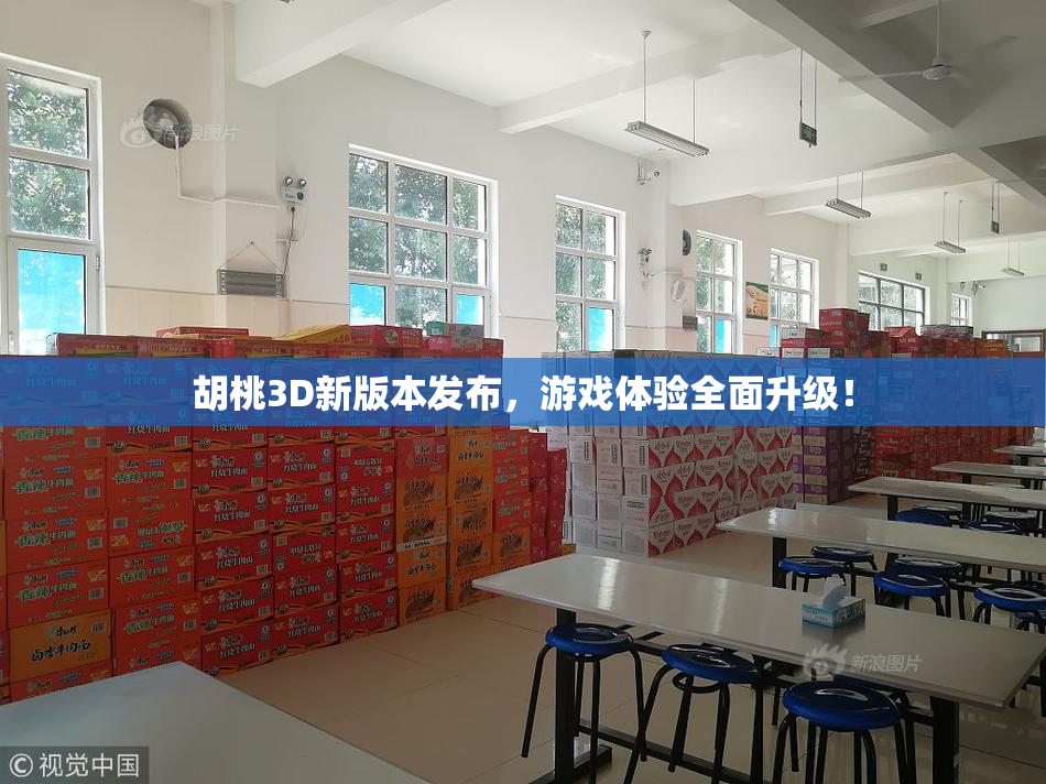 胡桃3D新版本发布，游戏体验全面升级！