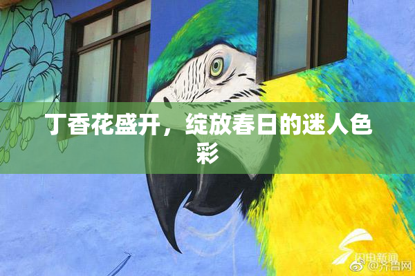 丁香花盛开，绽放春日的迷人色彩