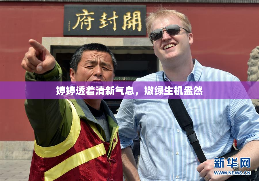 婷婷透着清新气息，嫩绿生机盎然