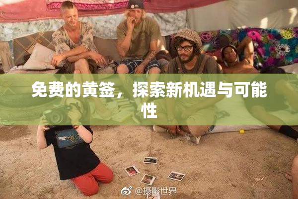 免费的黄签，探索新机遇与可能性