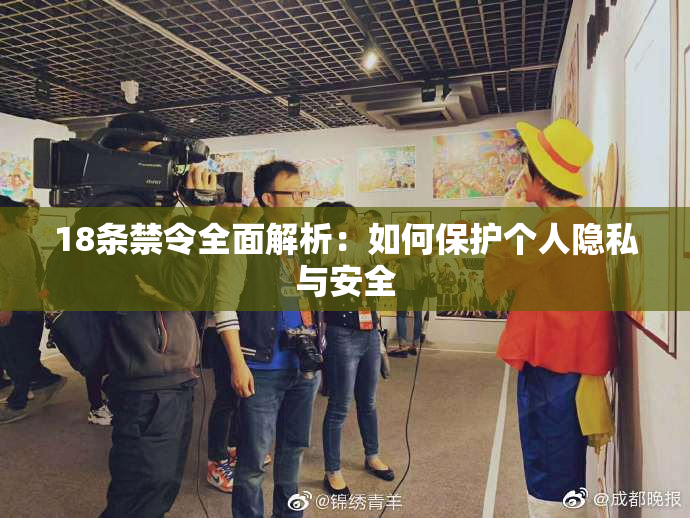 18条禁令全面解析：如何保护个人隐私与安全