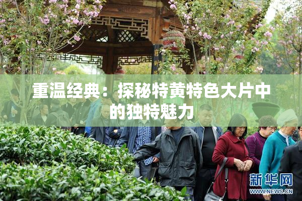 重温经典：探秘特黄特色大片中的独特魅力