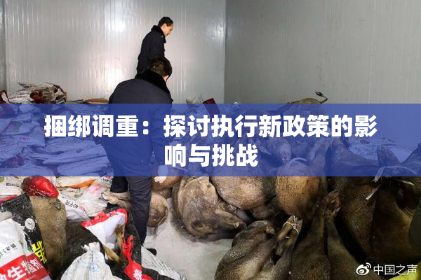 捆绑调重：探讨执行新政策的影响与挑战