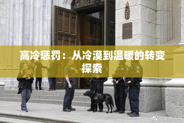 高冷惩罚：从冷漠到温暖的转变探索