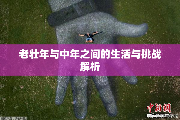 老壮年与中年之间的生活与挑战解析
