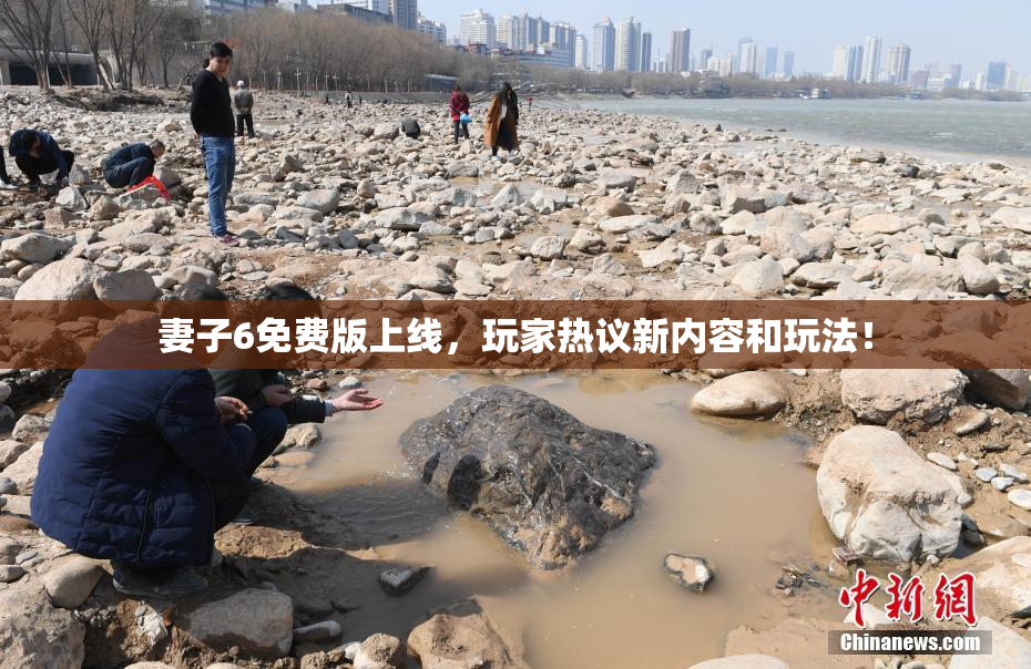 妻子6免费版上线，玩家热议新内容和玩法！